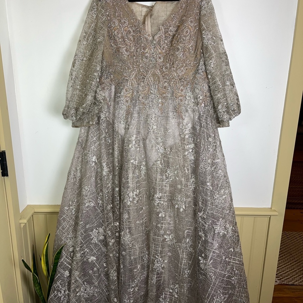 Mac Duggal NWT 20283D Embellished Lace Beaded Evening Gown 18 Silver Champagne - Picture 6 of 15